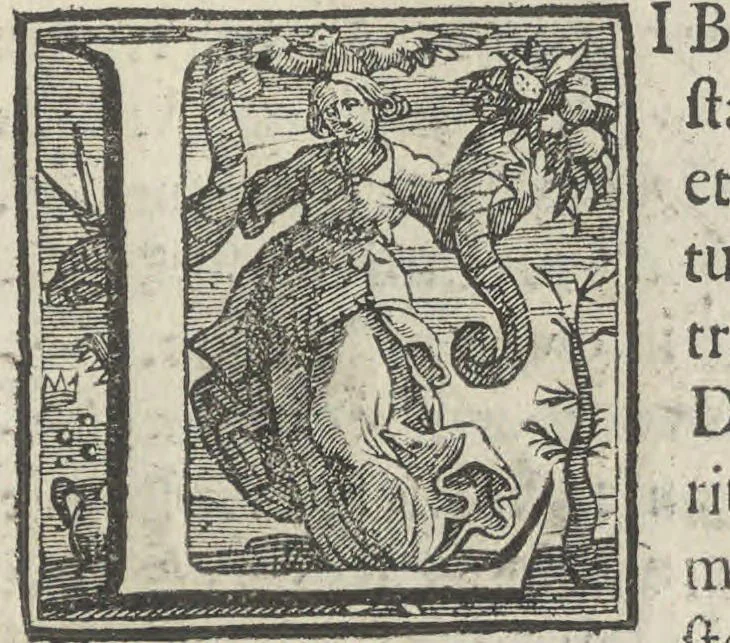 An illustration from Illvstrivm anachoretarvm elogia, siue Religiosi viri mvsaevm, 1625, leaf 62