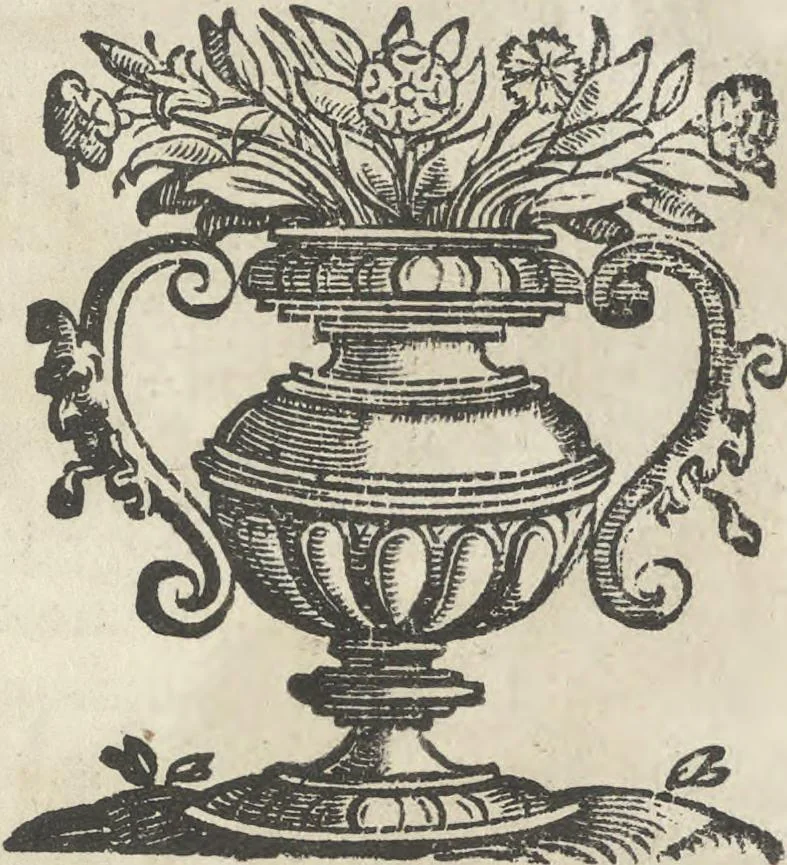 An illustration from Illvstrivm anachoretarvm elogia, siue Religiosi viri mvsaevm, 1625, leaf 64