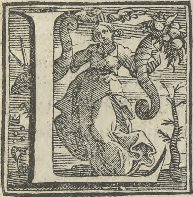 An illustration from Illvstrivm anachoretarvm elogia, siue Religiosi viri mvsaevm, 1625, leaf 88