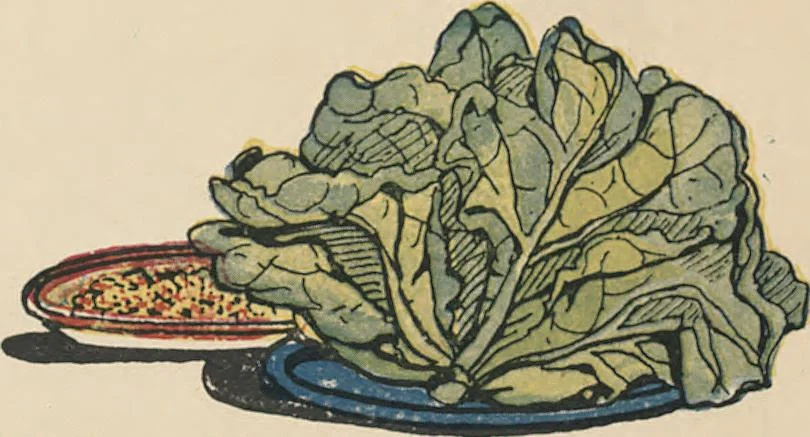 An illustration from My very first little German book, 1900, leaf 13