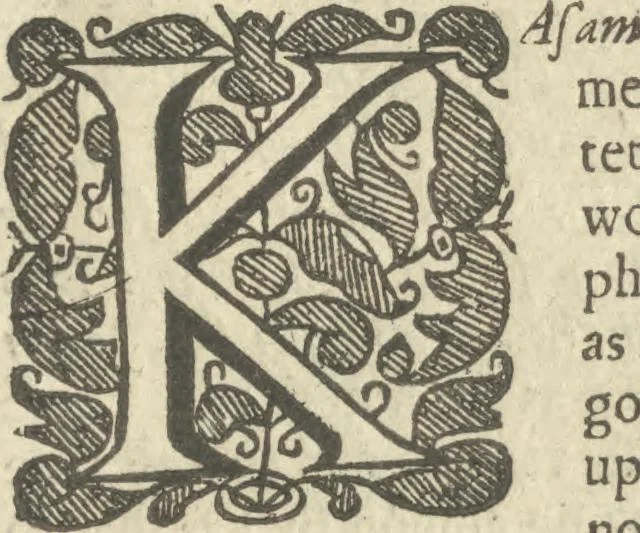 An illustration from The discovery of witchcraft: proving that the compacts and contracts of witches with devils and all infernal spirits or familiars are but erroneous novelties and imaginary conceptions .... In sixteen books, 1665, leaf 116