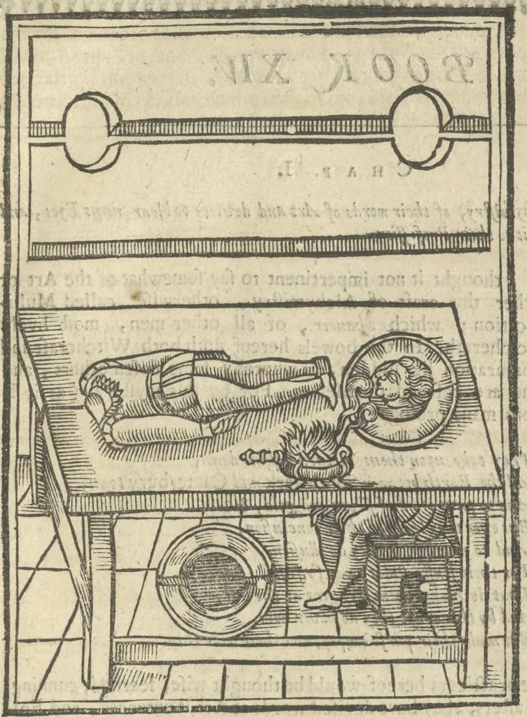 An illustration from The discovery of witchcraft: proving that the compacts and contracts of witches with devils and all infernal spirits or familiars are but erroneous novelties and imaginary conceptions .... In sixteen books, 1665, leaf 226