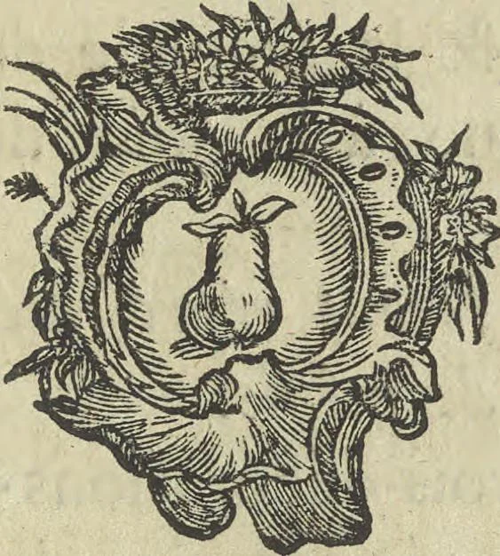 An illustration from Description du jubilé de sept cens ans de S. Macaire, patron particulier contre la peste, qui sera céléré dans la ville de Grand ... a commencer le 30. de mai jusqu'au 15. juin 1767, avec le détail ultérieur des cérémonies, solemnités, cavalcade, ornemens & feux d'artifice, &c. &c. qui auront lieu à cette occasion, 1767, leaf 144
