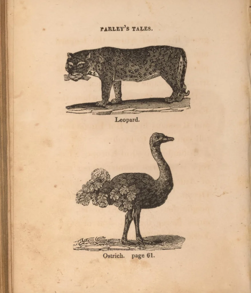 An illustration from The tales of Peter Parley about America : with engravings, 1827, leaf 106