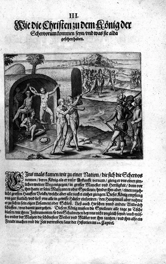An illustration from Additamentvm; das ist, Zuthuung zweyer fürnemmer Reysen ... Herrn Francisci Draken ... in die West Indien vnd Americam gethan : neben noch etlichen Figuren ... so beydes in das siebende vnd achte Theil Americae gehören. Item, die Reyse der holländischen Armada in die Insel Gross Canarien , welche ... 1599 ... von Holland ... ausgefahren, 1600, leaf 80