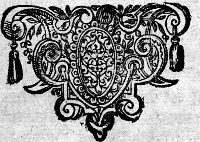 An illustration from Additamentum, oder Anhang dess neundten Theils Americae : welches ist ein warhafftige vnnd eygentliche Beschreibung der langwirigen ... Schiffahrt, so Oliuier van Noort ... durch das ... Fretum Magellanum, vmb die gantze Kugel der Welt ... gethan ... hat, 1602, leaf 106