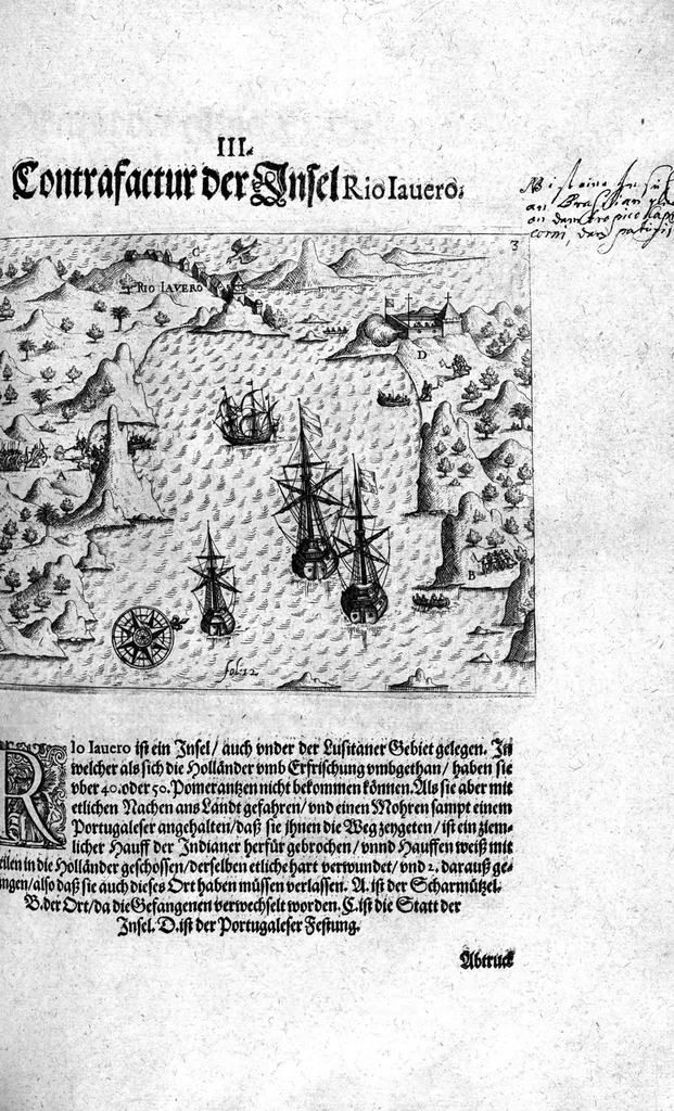 An illustration from Additamentum, oder Anhang dess neundten Theils Americae : welches ist ein warhafftige vnnd eygentliche Beschreibung der langwirigen ... Schiffahrt, so Oliuier van Noort ... durch das ... Fretum Magellanum, vmb die gantze Kugel der Welt ... gethan ... hat, 1602, leaf 110