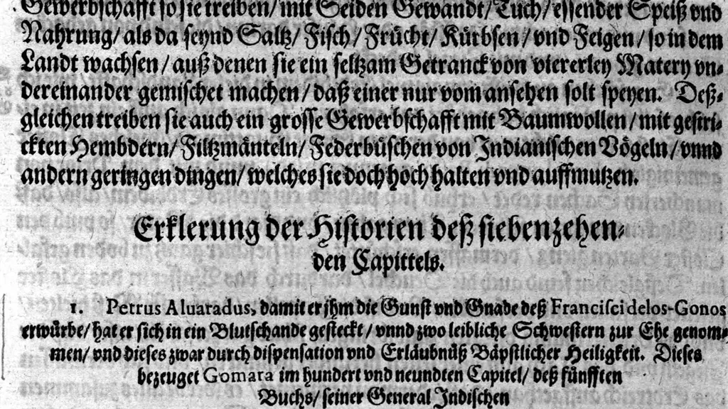 An illustration from Americae das fünffte Buch, vol schöner vnerhörter Historien, auss dem andern Theil Ioannis Benzonis gezogen: von der Spanier Wüten, beyd wider ... die Nigriten, vnnd auch die ... Indianer: wie die Spanier von den frantzösischen Meerräubern ... angriffen vnd geplündert worden ... wie sie erstlich das Neuwe Spanien erfunden haben ... Sampt ... Erklärung der Historien ... Auch einer Landtafel, dess Neuwen Spanien, 1613, leaf 101