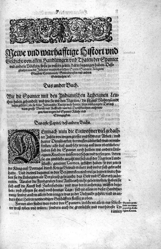 An illustration from Americae das fünffte Buch, vol schöner vnerhörter Historien, auss dem andern Theil Ioannis Benzonis gezogen: von der Spanier Wüten, beyd wider ... die Nigriten, vnnd auch die ... Indianer: wie die Spanier von den frantzösischen Meerräubern ... angriffen vnd geplündert worden ... wie sie erstlich das Neuwe Spanien erfunden haben ... Sampt ... Erklärung der Historien ... Auch einer Landtafel, dess Neuwen Spanien, 1613, leaf 12