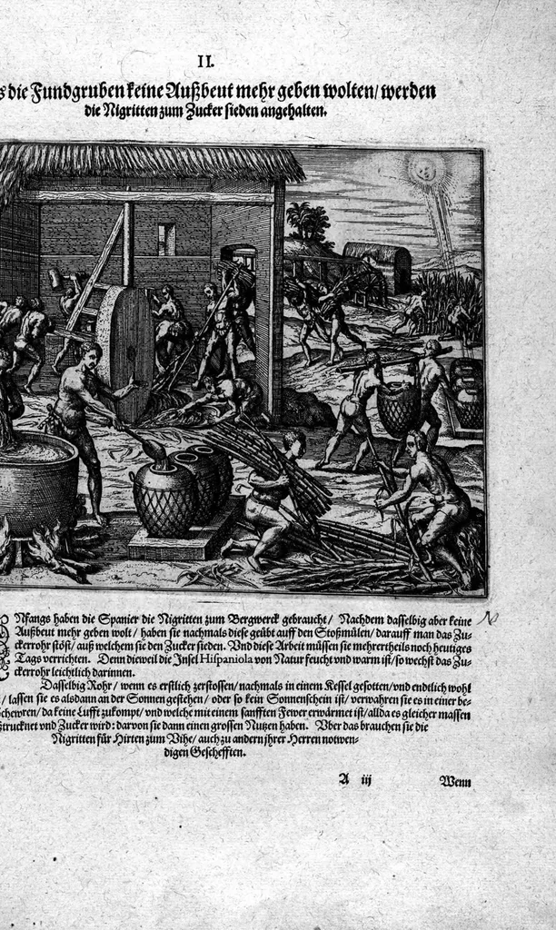 An illustration from Americae das fünffte Buch, vol schöner vnerhörter Historien, auss dem andern Theil Ioannis Benzonis gezogen: von der Spanier Wüten, beyd wider ... die Nigriten, vnnd auch die ... Indianer: wie die Spanier von den frantzösischen Meerräubern ... angriffen vnd geplündert worden ... wie sie erstlich das Neuwe Spanien erfunden haben ... Sampt ... Erklärung der Historien ... Auch einer Landtafel, dess Neuwen Spanien, 1613, leaf 125