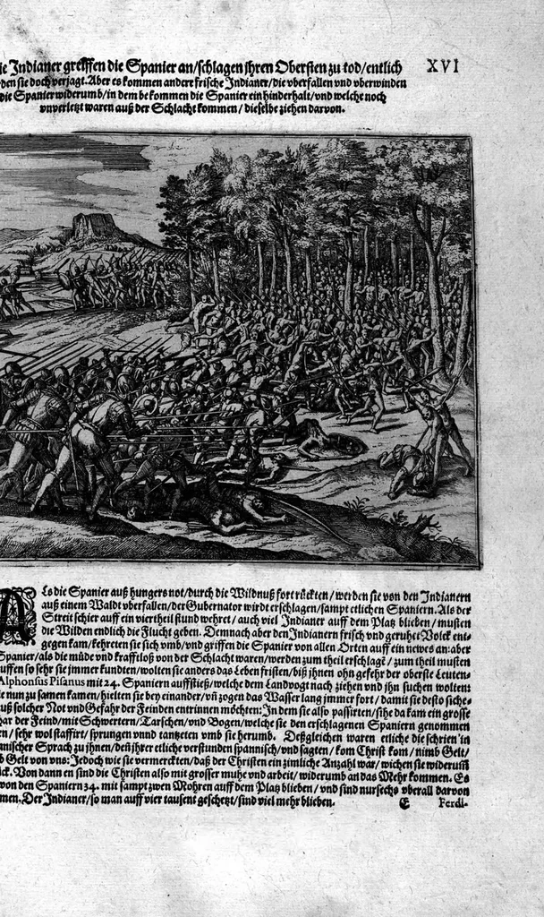 An illustration from Americae das fünffte Buch, vol schöner vnerhörter Historien, auss dem andern Theil Ioannis Benzonis gezogen: von der Spanier Wüten, beyd wider ... die Nigriten, vnnd auch die ... Indianer: wie die Spanier von den frantzösischen Meerräubern ... angriffen vnd geplündert worden ... wie sie erstlich das Neuwe Spanien erfunden haben ... Sampt ... Erklärung der Historien ... Auch einer Landtafel, dess Neuwen Spanien, 1613, leaf 139