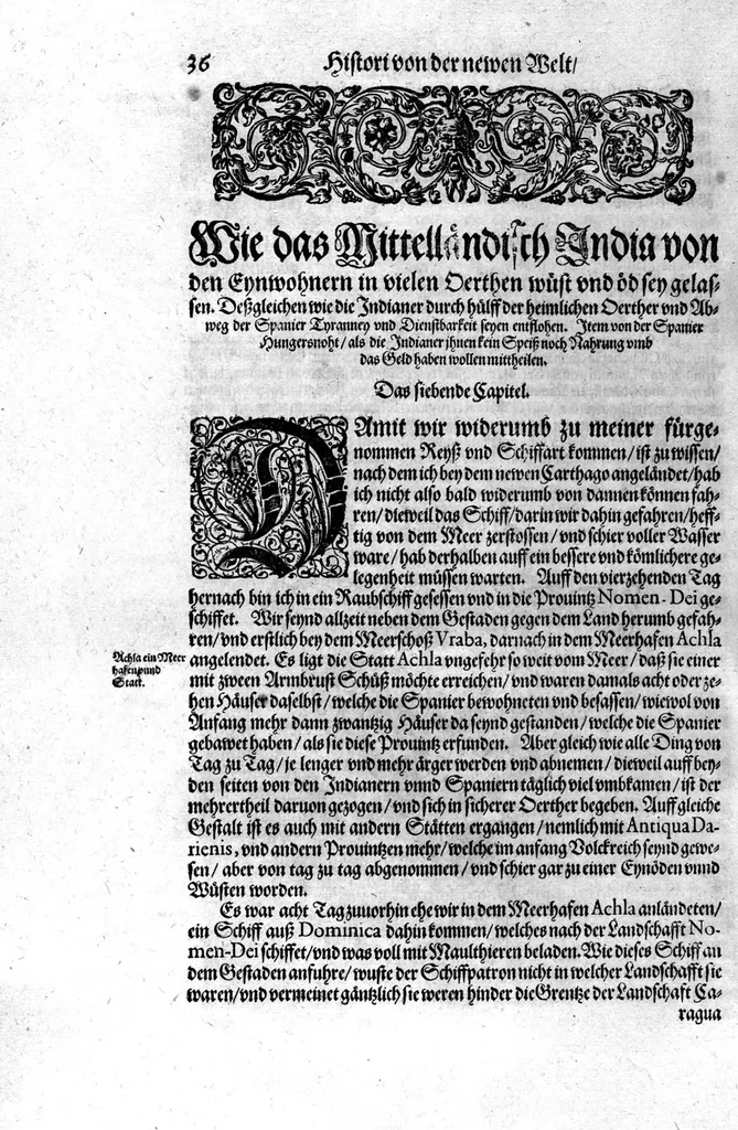 An illustration from Americae das fünffte Buch, vol schöner vnerhörter Historien, auss dem andern Theil Ioannis Benzonis gezogen: von der Spanier Wüten, beyd wider ... die Nigriten, vnnd auch die ... Indianer: wie die Spanier von den frantzösischen Meerräubern ... angriffen vnd geplündert worden ... wie sie erstlich das Neuwe Spanien erfunden haben ... Sampt ... Erklärung der Historien ... Auch einer Landtafel, dess Neuwen Spanien, 1613, leaf 41