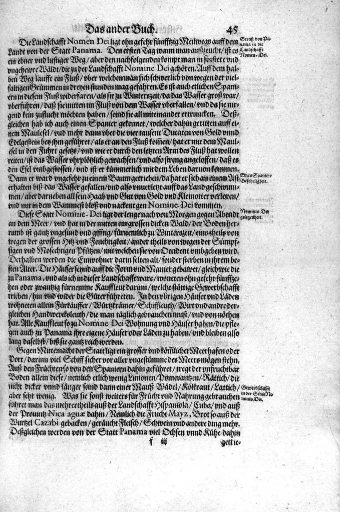 An illustration from Americae das fünffte Buch, vol schöner vnerhörter Historien, auss dem andern Theil Ioannis Benzonis gezogen: von der Spanier Wüten, beyd wider ... die Nigriten, vnnd auch die ... Indianer: wie die Spanier von den frantzösischen Meerräubern ... angriffen vnd geplündert worden ... wie sie erstlich das Neuwe Spanien erfunden haben ... Sampt ... Erklärung der Historien ... Auch einer Landtafel, dess Neuwen Spanien, 1613, leaf 50