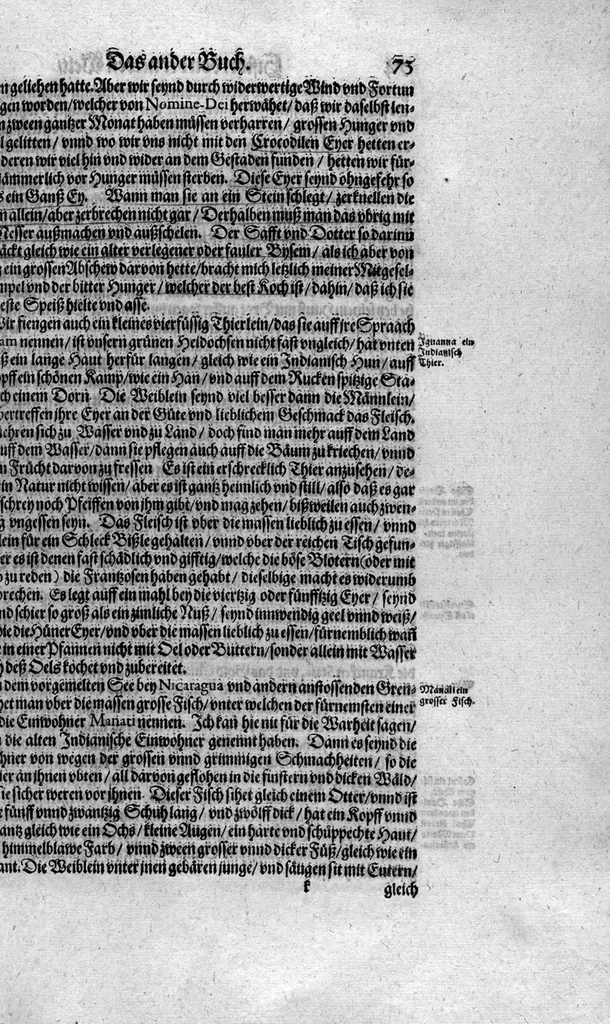 An illustration from Americae das fünffte Buch, vol schöner vnerhörter Historien, auss dem andern Theil Ioannis Benzonis gezogen: von der Spanier Wüten, beyd wider ... die Nigriten, vnnd auch die ... Indianer: wie die Spanier von den frantzösischen Meerräubern ... angriffen vnd geplündert worden ... wie sie erstlich das Neuwe Spanien erfunden haben ... Sampt ... Erklärung der Historien ... Auch einer Landtafel, dess Neuwen Spanien, 1613, leaf 78