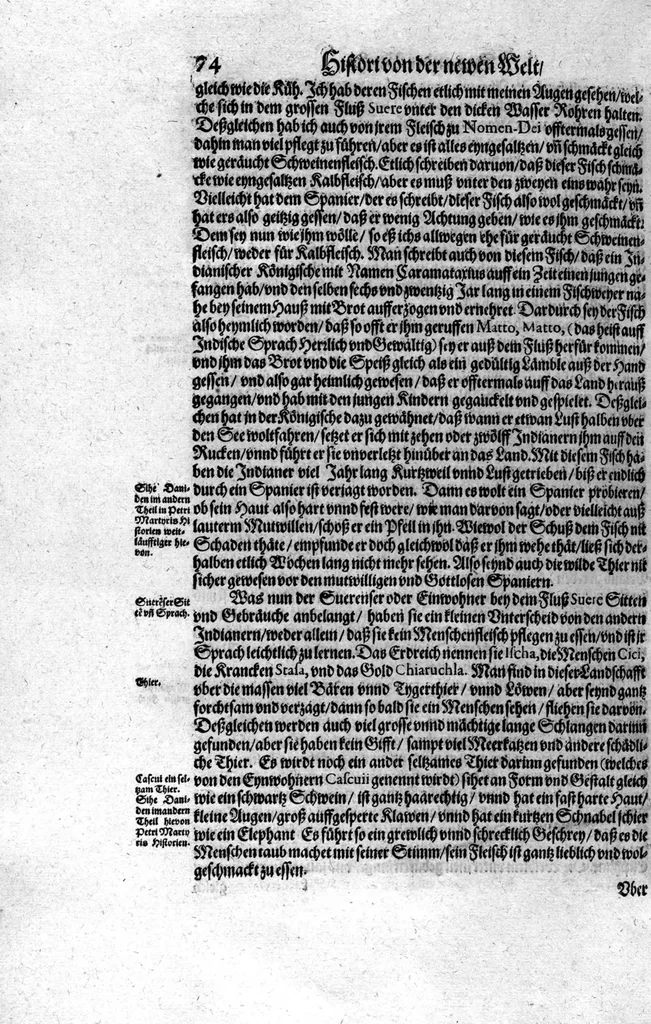 An illustration from Americae das fünffte Buch, vol schöner vnerhörter Historien, auss dem andern Theil Ioannis Benzonis gezogen: von der Spanier Wüten, beyd wider ... die Nigriten, vnnd auch die ... Indianer: wie die Spanier von den frantzösischen Meerräubern ... angriffen vnd geplündert worden ... wie sie erstlich das Neuwe Spanien erfunden haben ... Sampt ... Erklärung der Historien ... Auch einer Landtafel, dess Neuwen Spanien, 1613, leaf 79