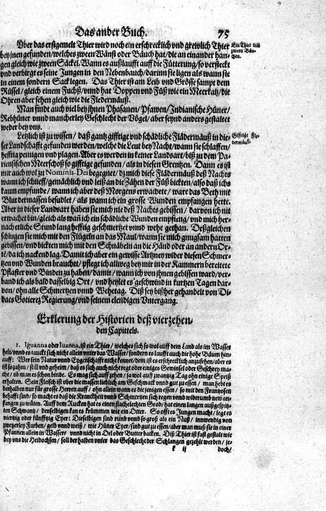 An illustration from Americae das fünffte Buch, vol schöner vnerhörter Historien, auss dem andern Theil Ioannis Benzonis gezogen: von der Spanier Wüten, beyd wider ... die Nigriten, vnnd auch die ... Indianer: wie die Spanier von den frantzösischen Meerräubern ... angriffen vnd geplündert worden ... wie sie erstlich das Neuwe Spanien erfunden haben ... Sampt ... Erklärung der Historien ... Auch einer Landtafel, dess Neuwen Spanien, 1613, leaf 80