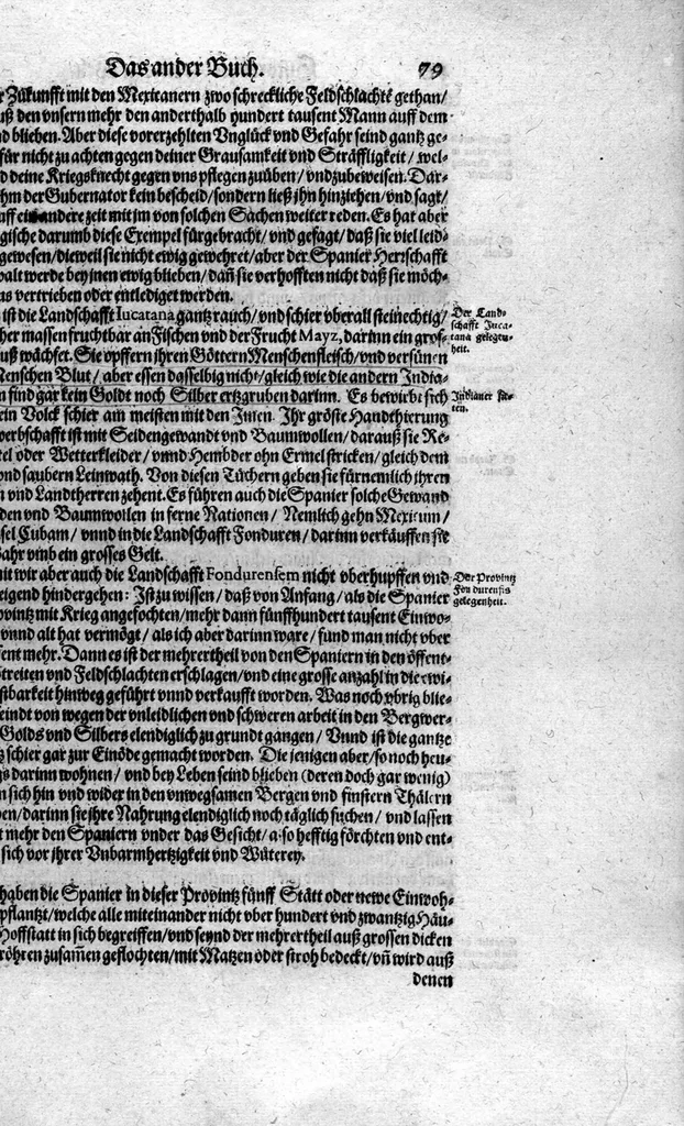 An illustration from Americae das fünffte Buch, vol schöner vnerhörter Historien, auss dem andern Theil Ioannis Benzonis gezogen: von der Spanier Wüten, beyd wider ... die Nigriten, vnnd auch die ... Indianer: wie die Spanier von den frantzösischen Meerräubern ... angriffen vnd geplündert worden ... wie sie erstlich das Neuwe Spanien erfunden haben ... Sampt ... Erklärung der Historien ... Auch einer Landtafel, dess Neuwen Spanien, 1613, leaf 84