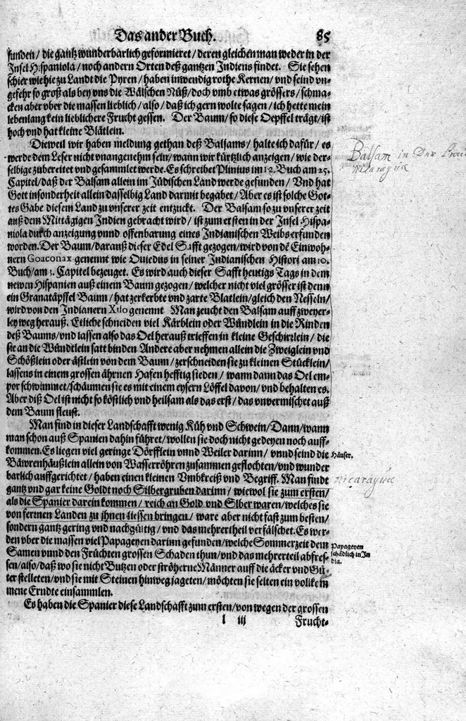 An illustration from Americae das fünffte Buch, vol schöner vnerhörter Historien, auss dem andern Theil Ioannis Benzonis gezogen: von der Spanier Wüten, beyd wider ... die Nigriten, vnnd auch die ... Indianer: wie die Spanier von den frantzösischen Meerräubern ... angriffen vnd geplündert worden ... wie sie erstlich das Neuwe Spanien erfunden haben ... Sampt ... Erklärung der Historien ... Auch einer Landtafel, dess Neuwen Spanien, 1613, leaf 90