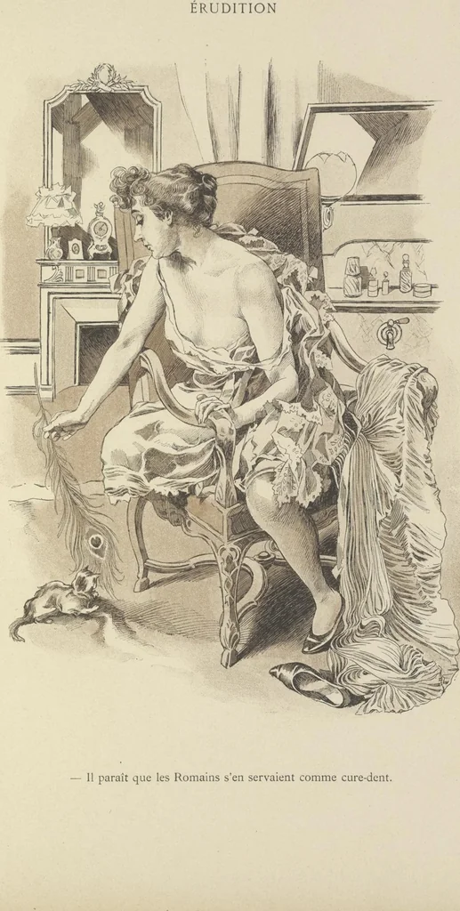 An illustration from Mémoires d'une glace : album absolument inédit, 1894, leaf 32