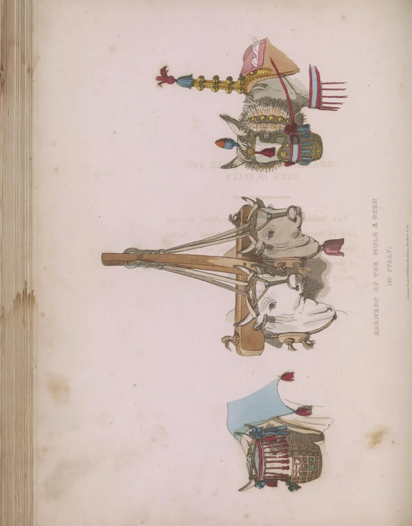 An illustration from Sketches illustrative of the manners and costumes of France, Switzerland, and Italy, 1821, leaf 108