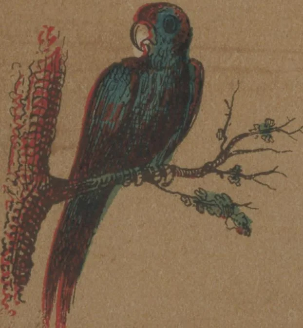 An illustration from Robinson Crusoe, 1864, leaf 8