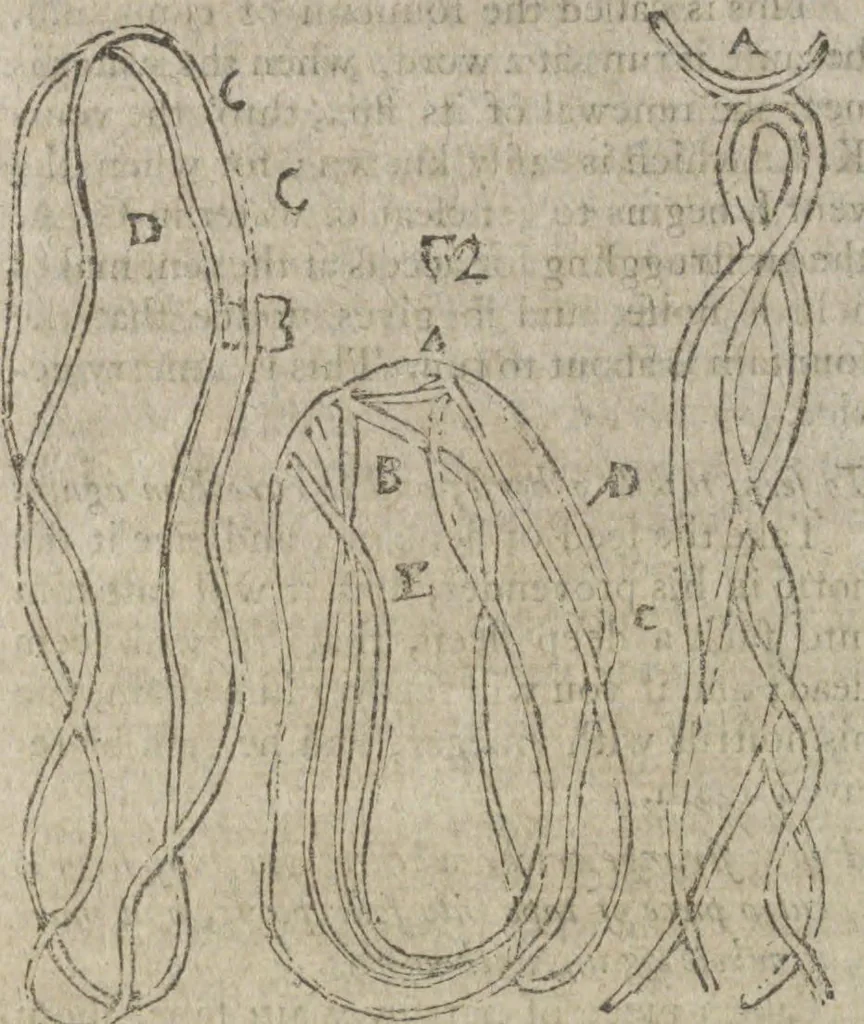 An illustration from Hocus pocus, or The whole art of legerdemain, in perfection : by which the meanest capacity may perform the whole without the help of a teacher : together with the use of all the instruments belonging thereto : to which is now added abundance of new and rare inventions, 1795, leaf 108