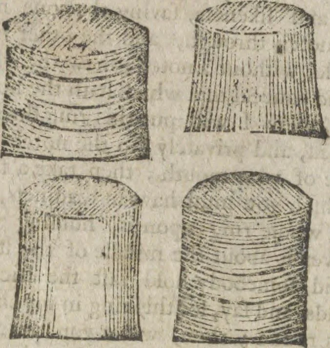 An illustration from Hocus pocus, or The whole art of legerdemain, in perfection : by which the meanest capacity may perform the whole without the help of a teacher : together with the use of all the instruments belonging thereto : to which is now added abundance of new and rare inventions, 1795, leaf 24