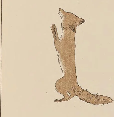 An illustration from Fables choisies pour les enfants et illustrées par B. de Monvel, 1888, leaf 11