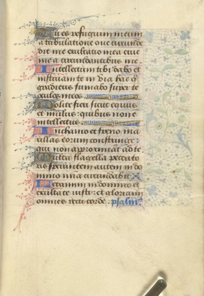 An illustration from [Book of hours], 1400, leaf 164