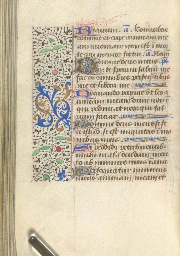An illustration from [Book of hours], 1400, leaf 217