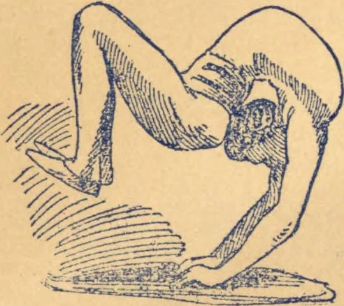 An illustration from How to be a contortionist! or, Bending made easy : a practical self instructor, 1896, leaf 1