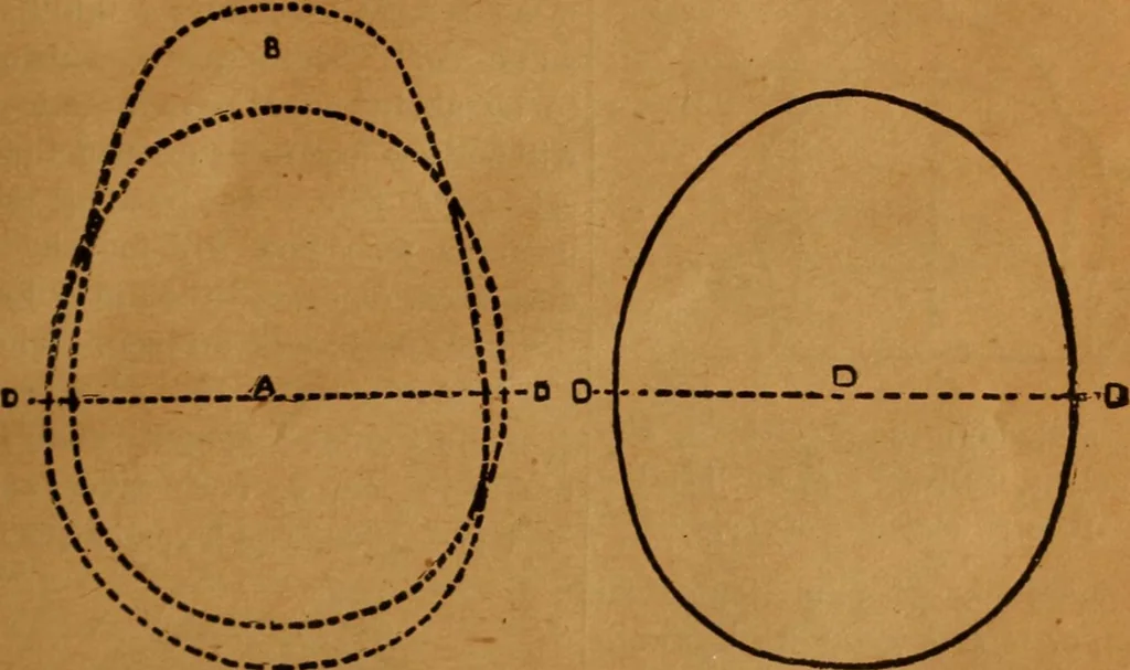 An illustration from Phrenology made easy, 1894, leaf 23