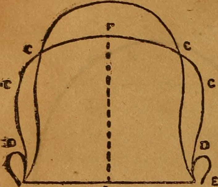 An illustration from Phrenology made easy, 1894, leaf 24