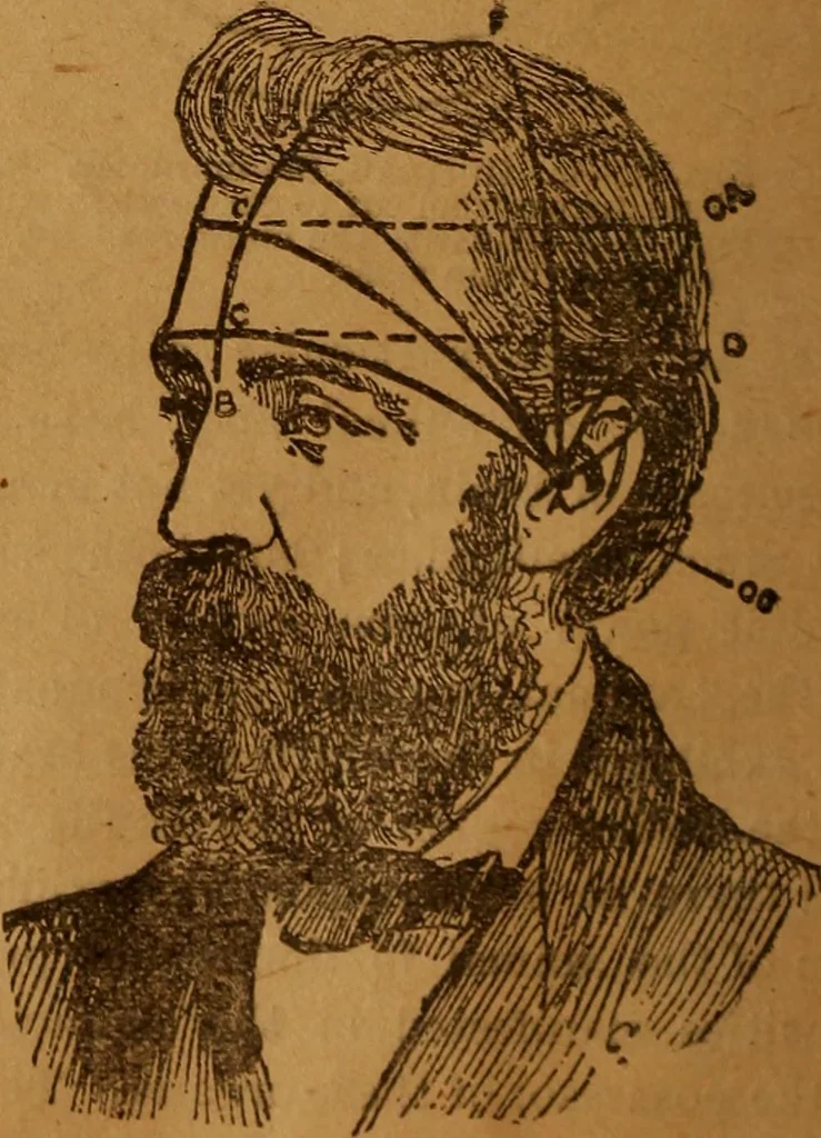 An illustration from Phrenology made easy, 1894, leaf 24