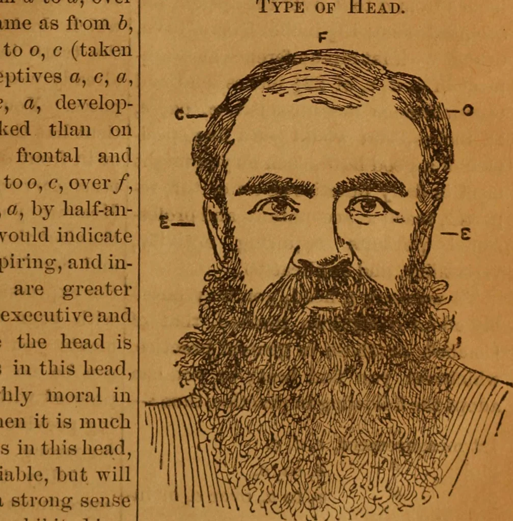 An illustration from Phrenology made easy, 1894, leaf 25