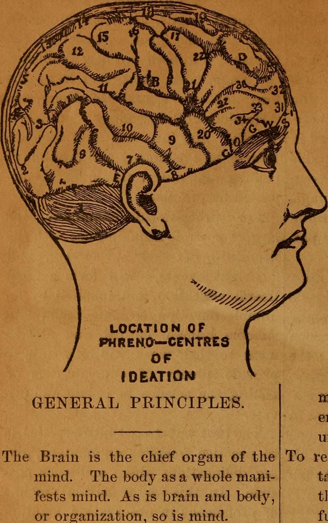 An illustration from Phrenology made easy, 1894, leaf 64