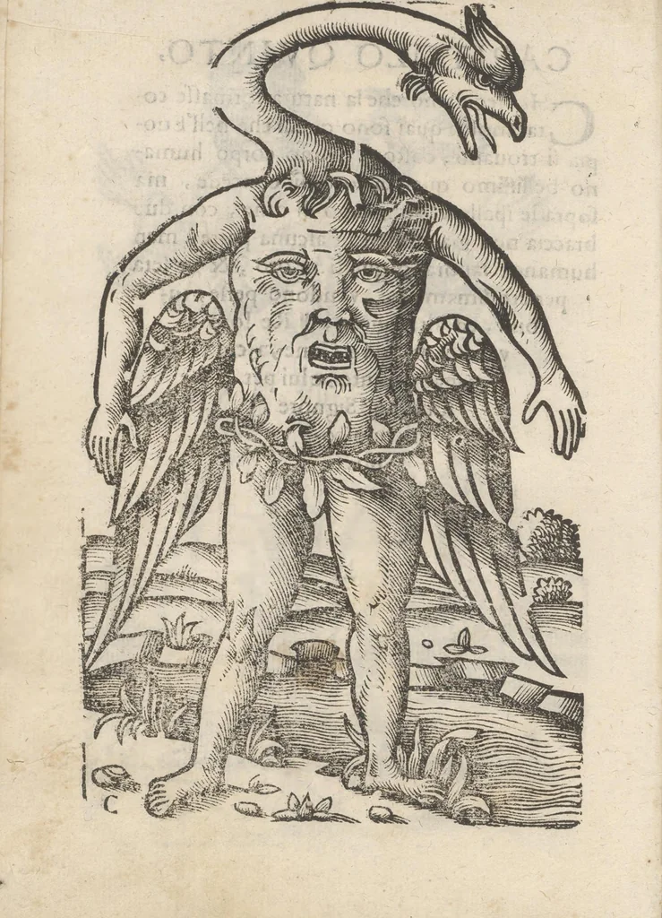 An illustration from Aggiunta alla quarta parte dell'Indie del sig. Giovanni Botero Benese : di mostri, & usanze di quelle parti, e di quei re con le sue figure al naturale, 1623, leaf 15
