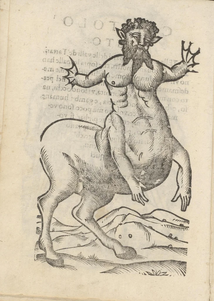 An illustration from Aggiunta alla quarta parte dell'Indie del sig. Giovanni Botero Benese : di mostri, & usanze di quelle parti, e di quei re con le sue figure al naturale, 1623, leaf 17