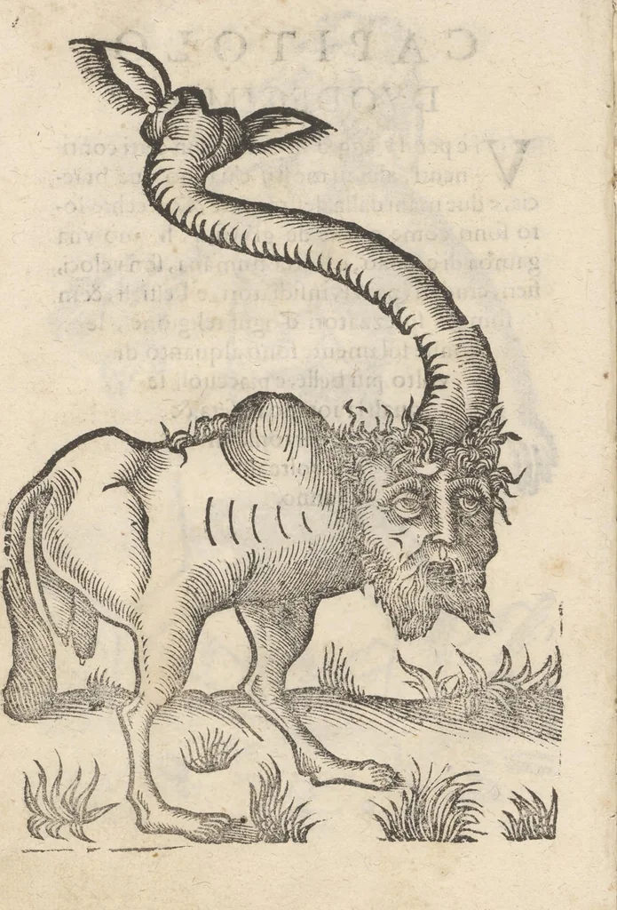 An illustration from Aggiunta alla quarta parte dell'Indie del sig. Giovanni Botero Benese : di mostri, & usanze di quelle parti, e di quei re con le sue figure al naturale, 1623, leaf 29