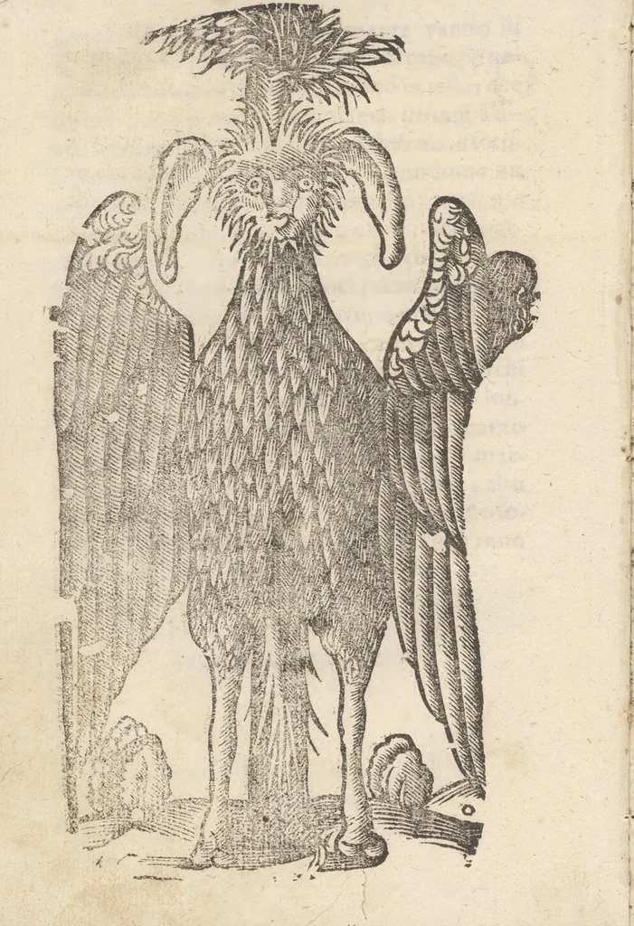 An illustration from Aggiunta alla quarta parte dell'Indie del sig. Giovanni Botero Benese : di mostri, & usanze di quelle parti, e di quei re con le sue figure al naturale, 1623, leaf 61