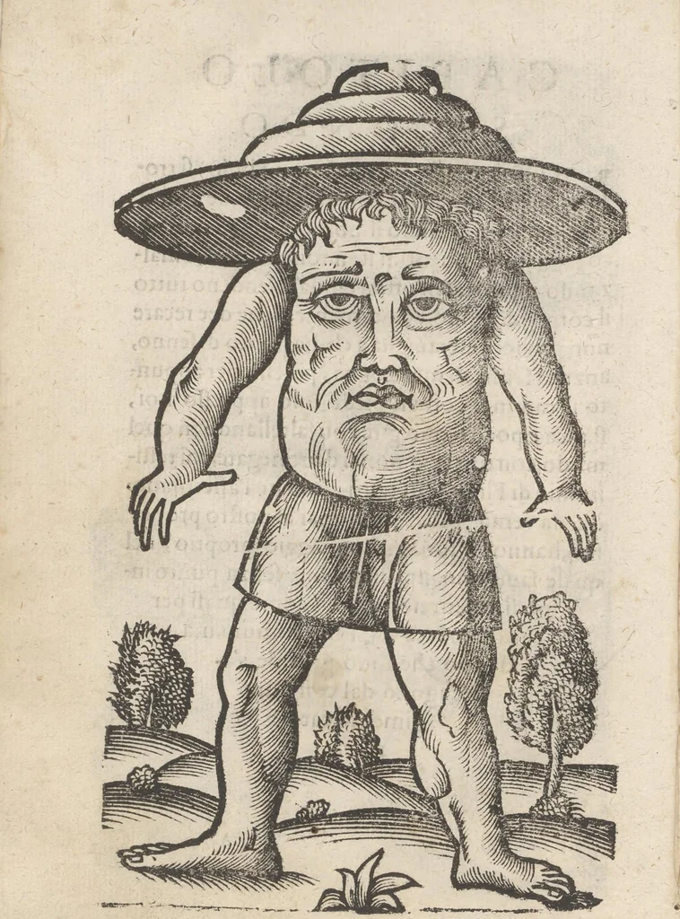 An illustration from Aggiunta alla quarta parte dell'Indie del sig. Giovanni Botero Benese : di mostri, & usanze di quelle parti, e di quei re con le sue figure al naturale, 1623, leaf 9