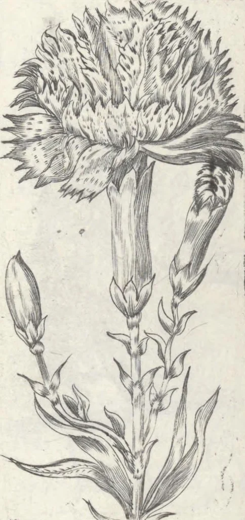 An illustration from Les sainctes prieres de l'ame chrestienne, 1644, leaf 70
