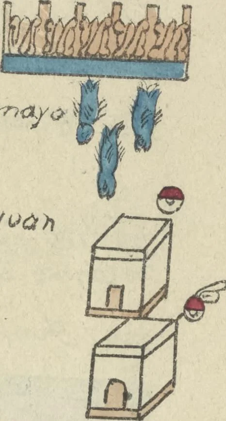 An illustration from Histoire de la nation Mexicaine, depuis le départ d'Aztlan jusqu'à l'arrivée des conquérants espanols (et au delà 1607) : manuscrit figuratif acompagné de texte en langue Nahuatl ou Mexicaine suivi d'une traduction en français, 1893, leaf 108