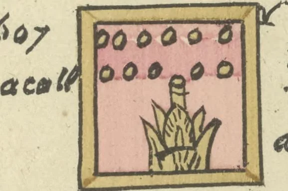 An illustration from Histoire de la nation Mexicaine, depuis le départ d'Aztlan jusqu'à l'arrivée des conquérants espanols (et au delà 1607) : manuscrit figuratif acompagné de texte en langue Nahuatl ou Mexicaine suivi d'une traduction en français, 1893, leaf 146