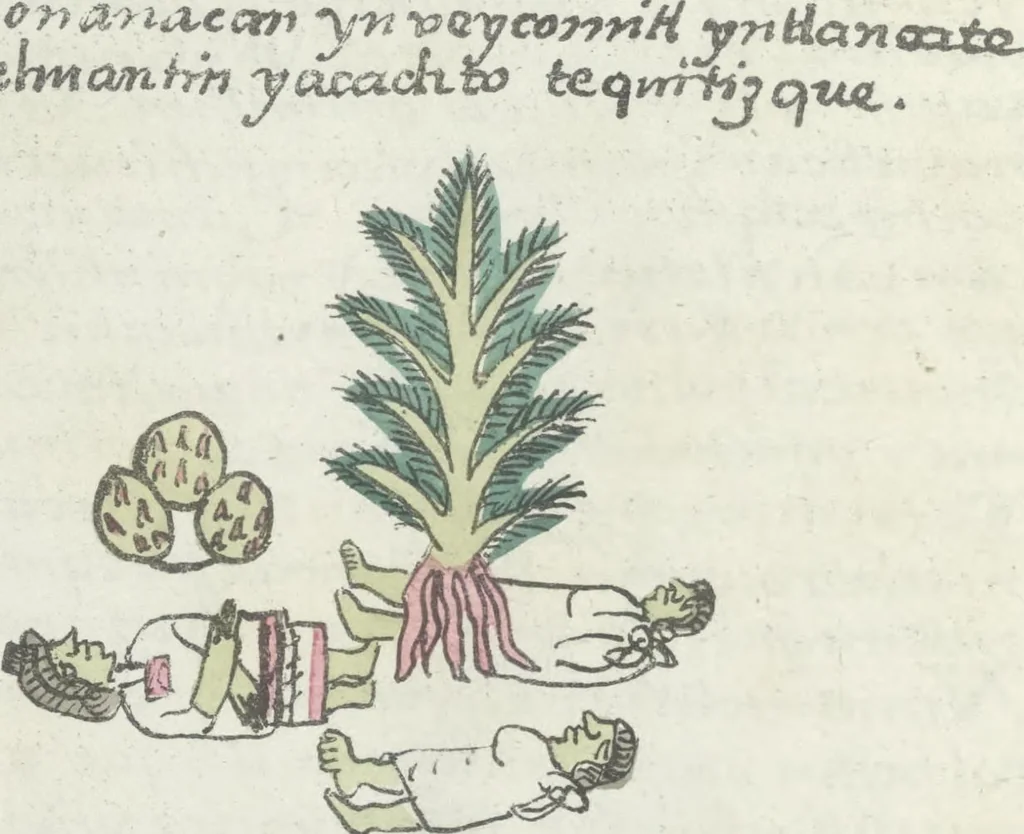 An illustration from Histoire de la nation Mexicaine, depuis le départ d'Aztlan jusqu'à l'arrivée des conquérants espanols (et au delà 1607) : manuscrit figuratif acompagné de texte en langue Nahuatl ou Mexicaine suivi d'une traduction en français, 1893, leaf 19
