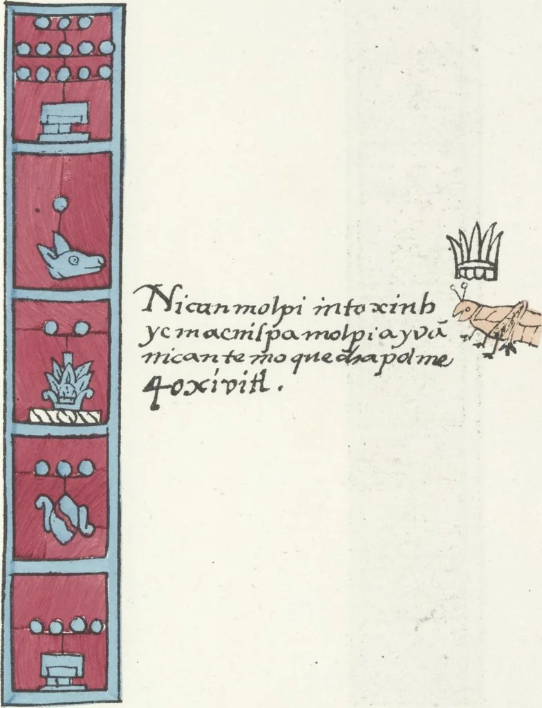 An illustration from Histoire de la nation Mexicaine, depuis le départ d'Aztlan jusqu'à l'arrivée des conquérants espanols (et au delà 1607) : manuscrit figuratif acompagné de texte en langue Nahuatl ou Mexicaine suivi d'une traduction en français, 1893, leaf 68