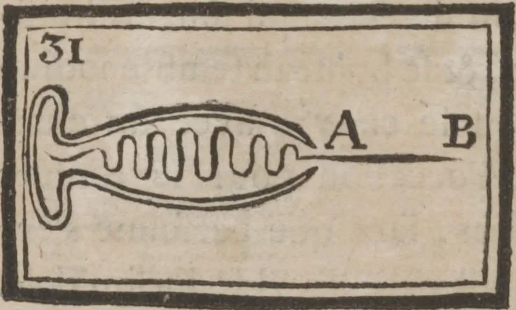 An illustration from Codicile de Jérome Sharp, professeur de physique amusante; où l'on trouve, parmi plusieurs tours dont il n'est point parlé dans son testament, diverses récréations relatives aux sciences & beaux-arts. Pour servir de troisième suite à la Magie blanche dévoilée, 1791, leaf 104