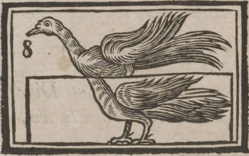 An illustration from Codicile de Jérome Sharp, professeur de physique amusante; où l'on trouve, parmi plusieurs tours dont il n'est point parlé dans son testament, diverses récréations relatives aux sciences & beaux-arts. Pour servir de troisième suite à la Magie blanche dévoilée, 1791, leaf 66