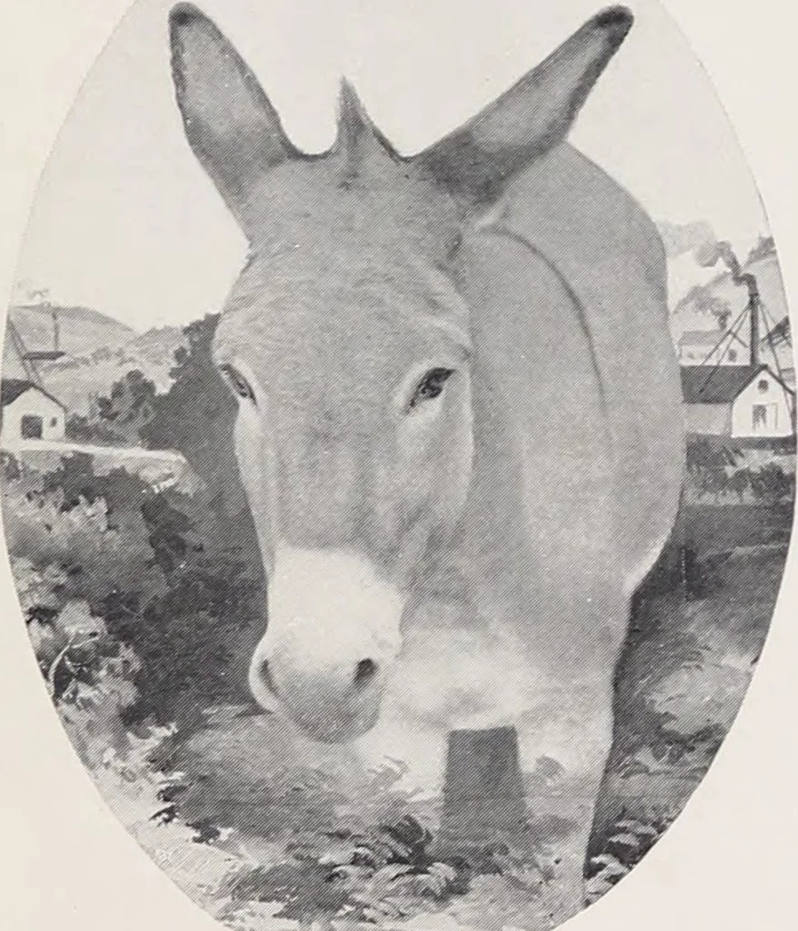 An illustration from Korrect shape shoes : spring and summer 1910 : carried in stock / Burt & Packard Co., 1910, leaf 19