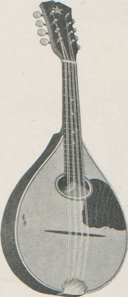 An illustration from Musical merchandise catalog / The Vega Co, 1920, leaf 66